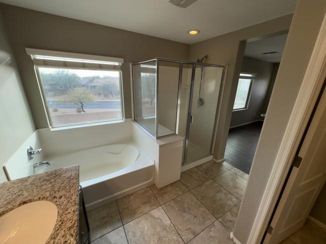 28306 N Cactus Flower CIR IMG_1476_02192025