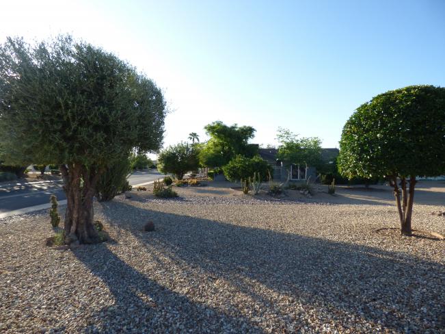 13247 W Prospect DR f5_10042019 13247 W Prospect DR f5_10042019