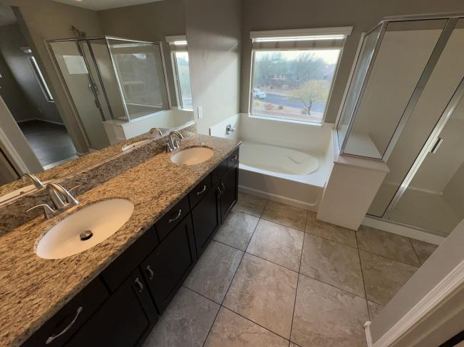 28306 N Cactus Flower CIR IMG_1475_02192025