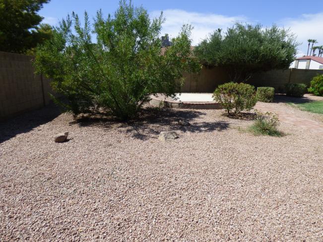 2060 E Marilyn Ave P1040370_07272017