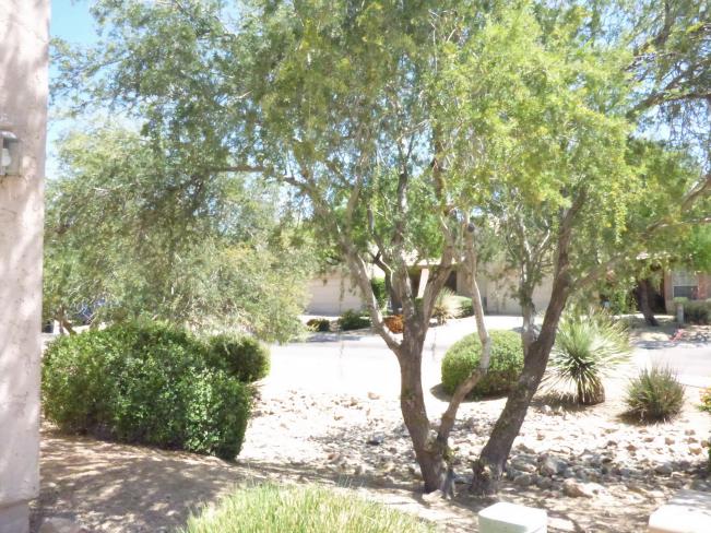 11494 E Altadena AVE zz_05012019 11494 E Altadena AVE zz_05012019