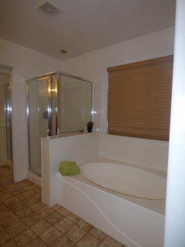 11233 W Elm LN Mstr Bth_01182019