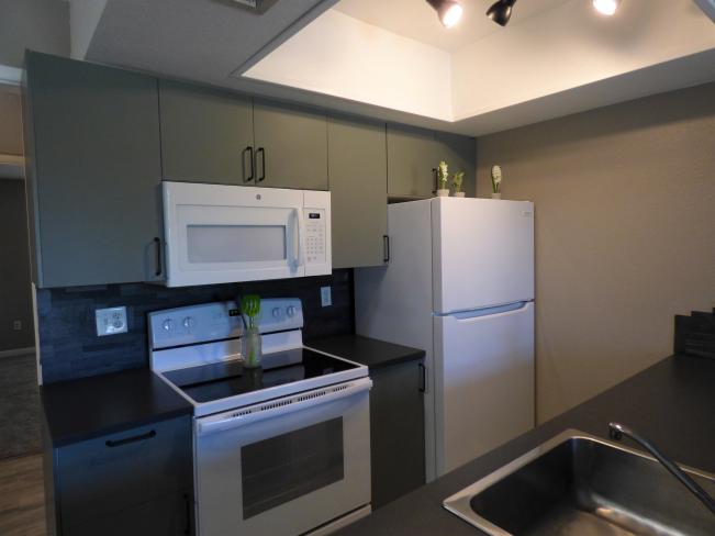 461 W Holmes AVE b3a_12042020