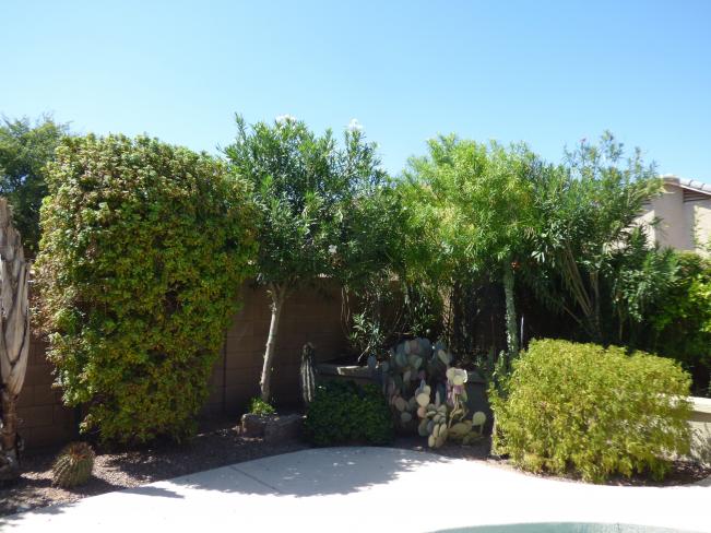 12624 W Windsor BLVD z6_08272019 12624 W Windsor BLVD z6_08272019