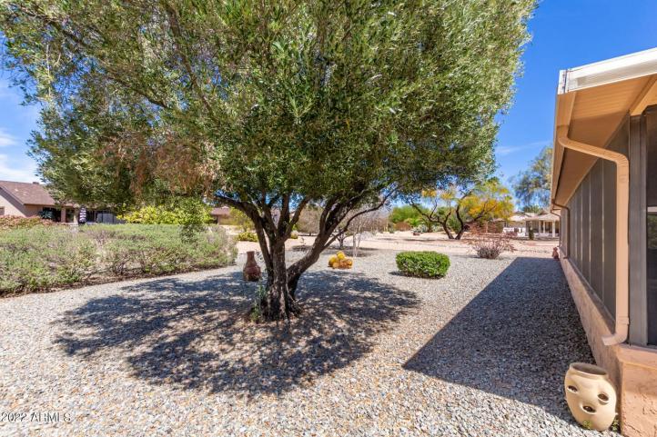 19914 N 146th WAY 24_05092022