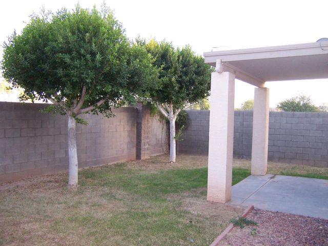 1725 S 113th DR Backyard
