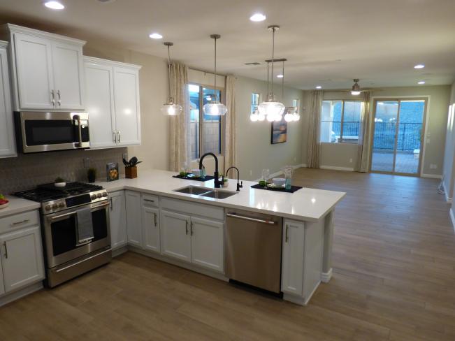 32006 N 123rd LN P1180337_01132024