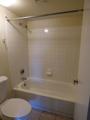 1730 W Emelita AVE 2022-03-17 10_03262022 1730 W Emelita AVE 2022-03-17 10_03262022