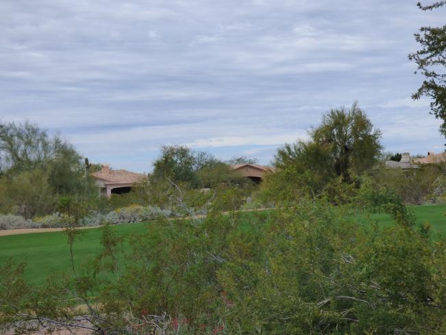 19475 N Grayhawk DR 2016-02-18 12_02182016