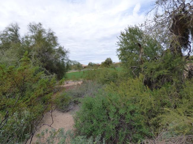 19475 N Grayhawk DR 2016-02-18 12_02182016