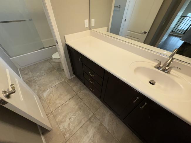 28306 N Cactus Flower CIR IMG_1471_02192025