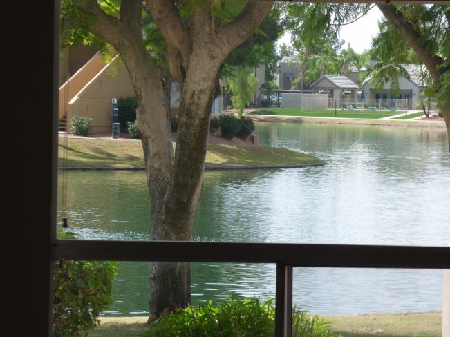 1825 W Ray RD b8 (view from living rm)_09302019 1825 W Ray RD b8 (view from living rm)_09302019