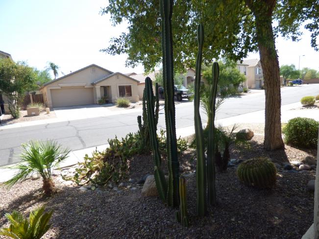 12624 W Windsor BLVD a3_08272019 12624 W Windsor BLVD a3_08272019