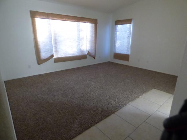 733 W Canary Way P1030822_12272016