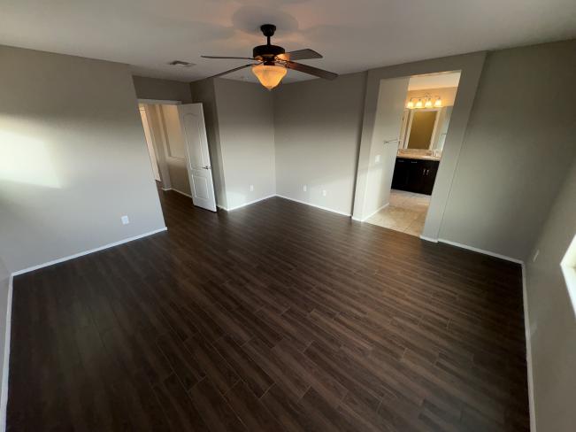 28306 N Cactus Flower CIR IMG_1474_02192025