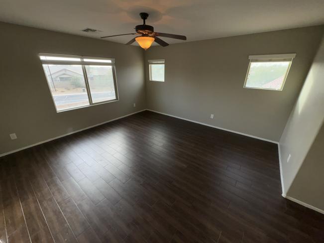 28306 N Cactus Flower CIR IMG_1473_02192025