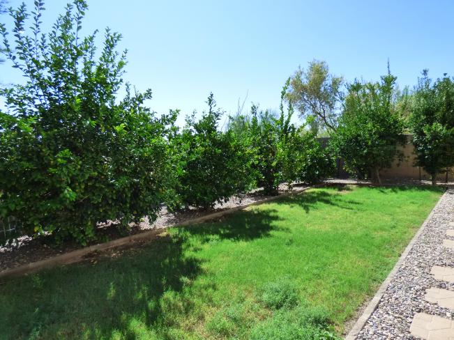3458 N Lady Lake LN 2018-08-27 10_09052018
