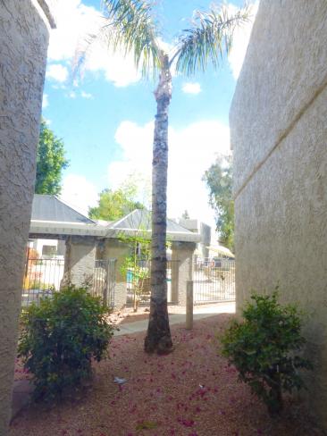 4444 E Paradise Village PKWY N y3_03042021