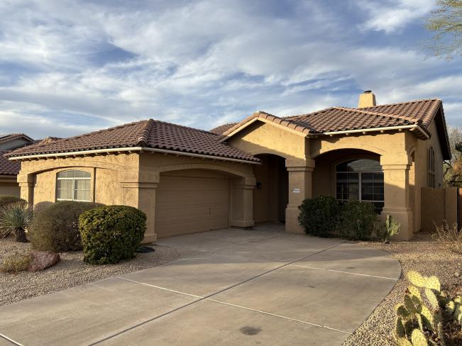 4342 E Desert Marigold Dr IMG_1694_02082025