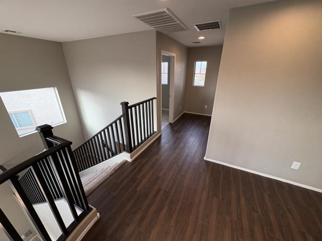 28306 N Cactus Flower CIR IMG_1467_02192025