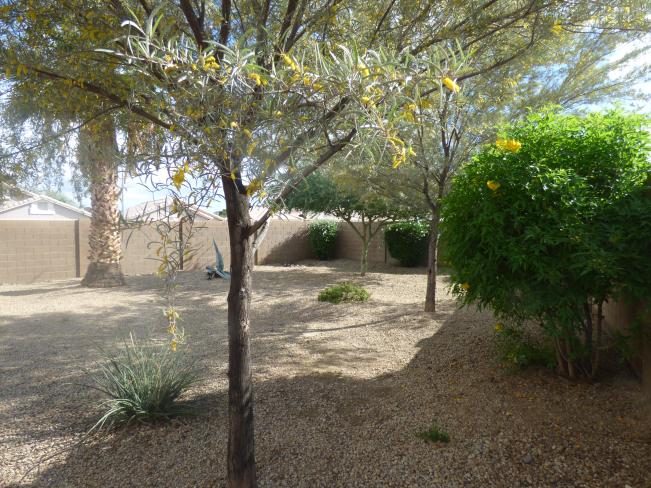 503 W Grovers Ave P1060474_11092018