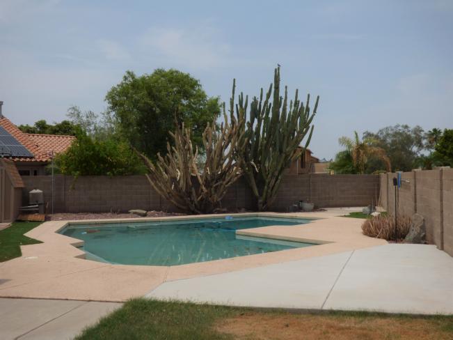 568 W Sagebrush ST y2_07212021 568 W Sagebrush ST y2_07212021