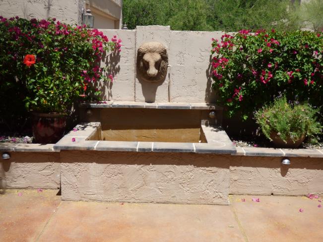 11494 E Altadena AVE z4_05012019 11494 E Altadena AVE z4_05012019