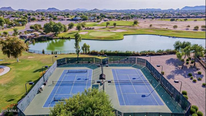 28306 N Cactus Flower CIR 7_02192025