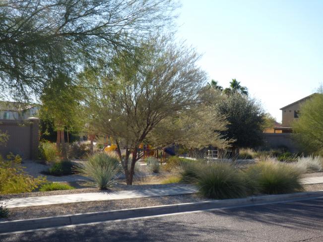 3520 W Vineyard Rd z5 (View from front of Home)_12182019