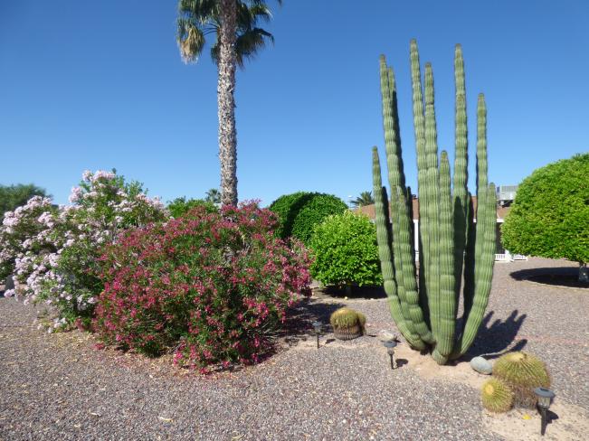 17418 N Calico DR y3_04302019 17418 N Calico DR y3_04302019