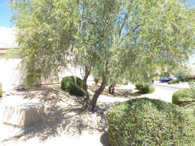 11494 E Altadena AVE zz1_05012019 11494 E Altadena AVE zz1_05012019