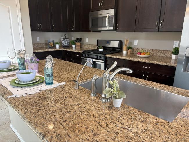 28306 N Cactus Flower CIR IMG_1457_02192025