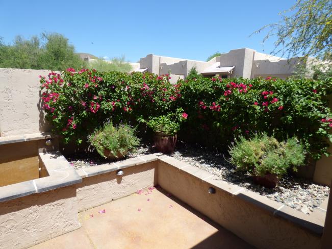 11494 E Altadena AVE z5_05012019 11494 E Altadena AVE z5_05012019