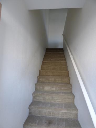 1406 W Emerald AVE 2015-11-10 13_11112015